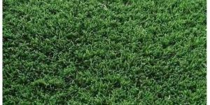 Artificial Grass