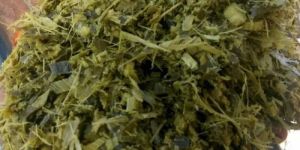 Corn Silage And Green Fodder