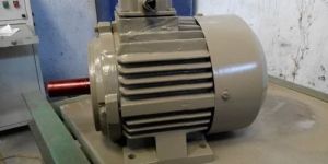 High Efficiency EFF1 Motors