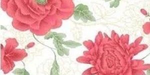 RFD Cotton Bleached Fabrics