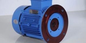 Vertical Hollow Shaft Motor