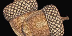 Embroidery Digitizing Services