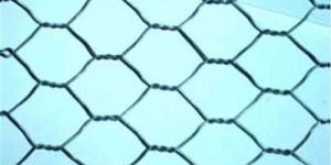 Hexagonal Wire Mesh