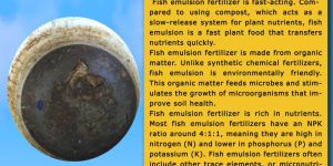 Fish Emulsion Liquid Fertilizer