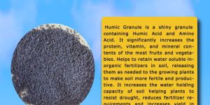 Humic Acid Granule