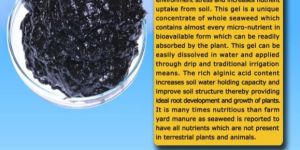 Seaweed Gel