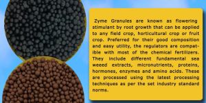 Zyme Granule