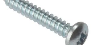 Slotted Stainless Steel Screw