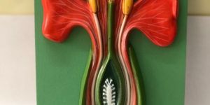 Typical Flower Model