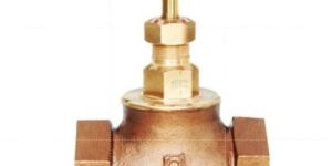 Qinn Gun Metal Globe Valve