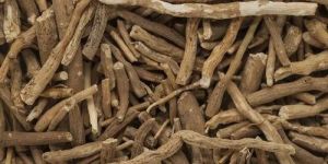 Ashwagandha Roots