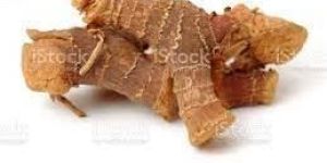 Galangal Roots