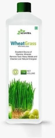 Wheatgrass Amla Juice