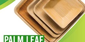 Disposable Areca Plates