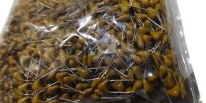 Multilayer Ceramic Capacitor