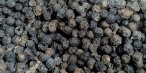 Black Pepper