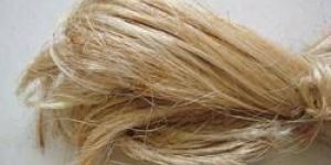 Banana Fiber Extraction Machine