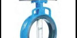 Wafer Butterfly Valve