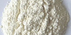 Dehydrated White Onion Powder