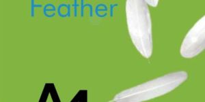 Crayon Feather 75 GSM A4 Copier Paper