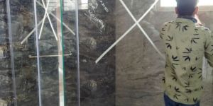 Shower Glass Doors