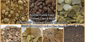 Animal Feed