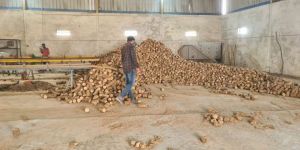 Biomass Briquettes