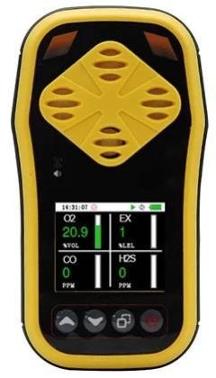 Handheld CO Gas Meter