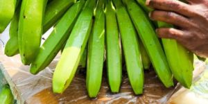 Organic Fresh Banana