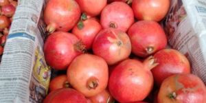 Organic Fresh Pomegranate