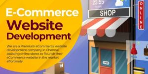 e-commerce Development Services