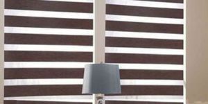 Vinyl Window Blind
