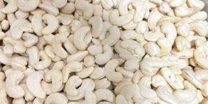 Cashew Nuts