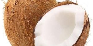 Fresh Brown Coconut