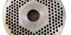 Food Processing Noodles Die