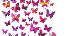 3d Butterfly Sticker