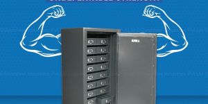 Guardwel Gold Loan Safes