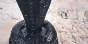 Marble Sheshnag Statue