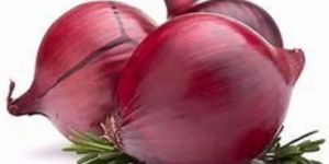 Fresh Maharashtra Red Onion