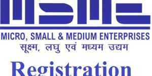 Msme Registration Consultancy