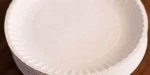 Disposable Paper Plate