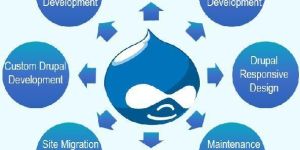 Drupal Development Services
