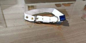 Dog Collar