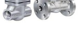 Forged Steel Check Valve