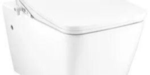 Simply Modish Toilet