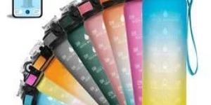 Motivational Water Bottle