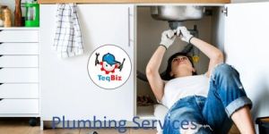 Pest Control Services