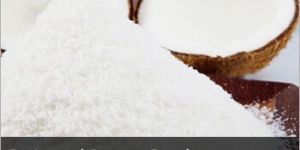 Desiccated Coconut Powder