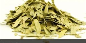 Senna Leaves Powder