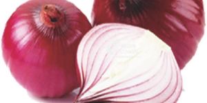 EXPORT QUALITY ONION